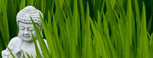 Traditionelle Chinesische Medizin Potsdam