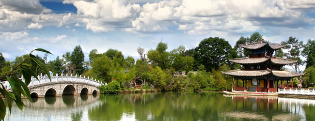 Traditionelle Chinesische Medizin Potsdam