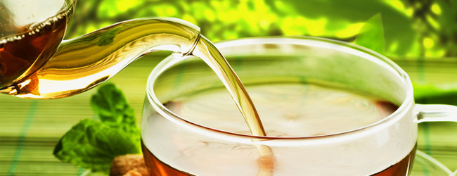 Traditionelle Chinesische Medizin Potsdam